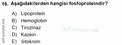 16. soru: Aşağıdakilerden hangisi fosfoproteindir? A) Lipoprotein orular.net B) Hemoglobin C) Tirozinaz D) Kazein aof. E) Sitokrom