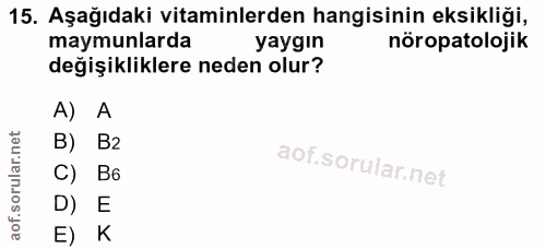 15. soru: Aşağıdaki vitaminlerden hangisinin eksikliği, maymunlarda yaygın nöropatolojik değişikliklere neden olur? A) A B) B2…