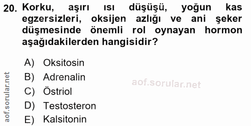 20. soru: Korku, aşırı ISI düşüşü, yoğun kas egzersizleri, oksijen azlığı ve ani şeker düşmesinde önemli rol oynayan hormon aşa…