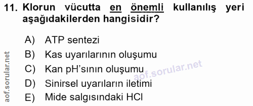 11. soru: Klorun vücutta en önemli kullanılış yeri aşağıdakilerden hangisidir? A) ATP sentezi B) Kas uyarılarının oluşumu C) Ka…