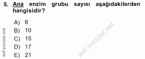5. soru: Ana enzim grubu sayısı aşağıdakilerden hangisidir? A) 6 B) 10 C) 15 D) 17 E) 21