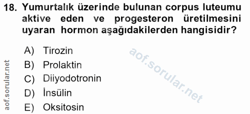 18. soru: Yumurtalık üzerinde bulunan corpus luteumu aktive eden ve progesteron üretilmesini uyaran hormon aşağıdakilerden hang…
