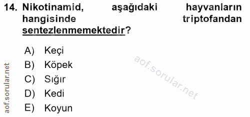 14. soru: Nikotinamid, aşağıdaki hayvanların hangisinde triptofandan sentezlememektedir? A) Keçi B) Köpek C) Sığır D) Kedi E) K…