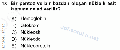 18. soru: Bir pentoz ve bir bazdan oluşan nükleik asit kısmına ne ad verilir? A) Hemoglobin B) Sitokrom C) Nükleosit D) Nükleot…