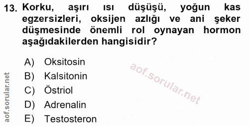 13. soru: Korku, aşırı ISI düşüşü, yoğun kas egzersizleri, oksijen azlığı ve ani şeker düşmesinde önemli rol oynayan hormon aşa…