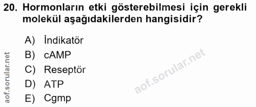 20. soru: Hormonların etki gösterebilmesi için gerekli molekül aşağıdakilerden hangisidir? A) Indikatör B) CAMP C) Reseptör D)…