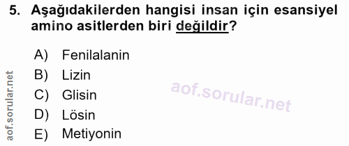 5. soru: Aşağıdakilerden hangisi insan için esansiyel amino asitlerden biri değildir? A) Fenilalanin B) Lizin C) Glisin D) Lös…