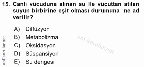 15. soru: Canlı vücuduna alınan su ile vücuttan atılan suyun birbirine eşit olması durumuna ne ad verilir? A) Diffüzyon B) Meta…