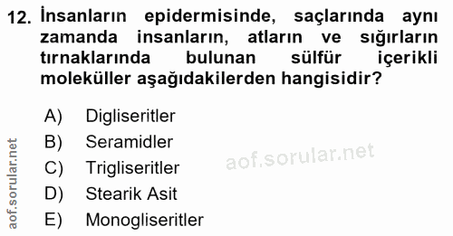 12. soru: Insanların epidermisinde, saçlarında aynı zamanda insanların, atların ve sığırların tırnaklarında bulunan sülfür içer…