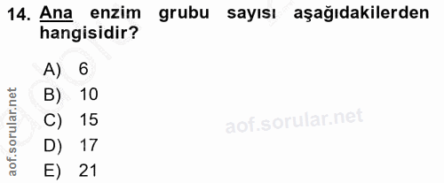 14. soru: Ana enzim grubu sayısı aşağıdakilerden hangisidir? A) 6 B) 10 C) 15 D) 17 E) 21
