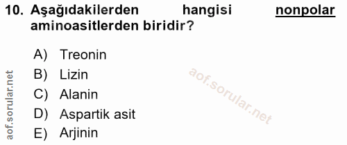 10. soru: Aşağıdakilerden hangisi nonpolar aminoasitlerden biridir? A) Treonin B) Lizin C) Alanin D) Aspartik asit E) Arjinin
