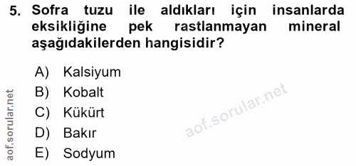 5. soru: Sofra tuzu ile aldıkları için insanlarda eksikliğine pek rastlanmayan mineral aşağıdakilerden hangisidir? A) Kalsiyum…