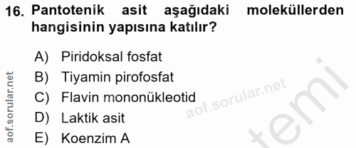 16. soru: Pantotenik asit aşağıdaki moleküllerden hangisinin yapısına katılır? A) Piridoksal fosfat B) Tiyamin pirofosfat C) Fl…