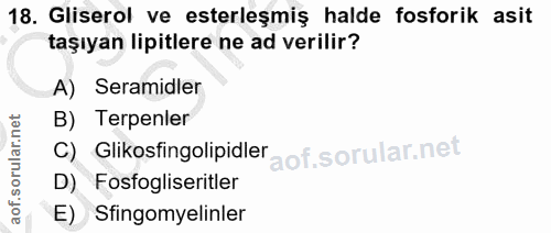 18. soru: Gliserol ve eterleşmiş halde fosforik asit taşıyan lipitlere ne ad verilir? A) Seramidler B) Tepenler C) Glikosfingol…