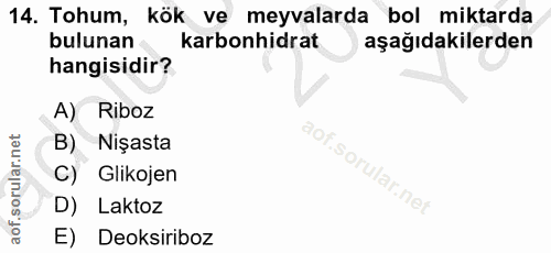 14. soru: Tohum, kök ve meyvalarda bol miktarda bulunan karbonhidrat aşağıdakilerden hangisidir? A) Riboz B) Nişasta C) Glikoje…