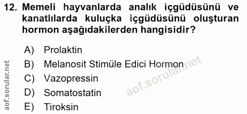 12. soru: Memeli hayvanlarda analık içgüdüsünü ve kanatlılarda kuluçka içgüdüsünü oluşturan hormon aşağıdakilerden hangisidir?…