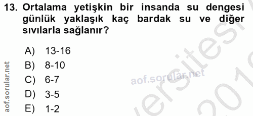 13. soru: Ortalama yetişkin bir insanda su dengesi günlük yaklaşık kaç bardak su ve diğer sıvılarla sağlanır? A) 13-16 B) 8-10…