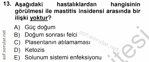 13. soru: Aşağıdaki hastalıklardan hangisinin görülmesi ile mastitis insidensi arasında bir ilişki yoktur? A) Güç doğum B) Doğu…