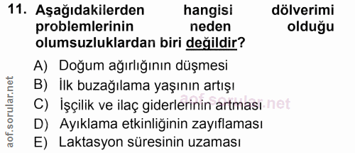 11. soru: Aşağıdakilerden hangisi döverimi problemlerinin neden olduğu olumsuzluklardan biri değildir? A) Doğum ağırlığının düş…