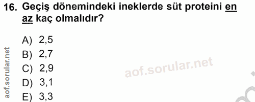 16. soru: Geçiş dönemindeki ineklerde süt proteini en az kaç olmalıdır? A) 2,5 B) 2,7 C) 2,9 D) 3,1 E) 3,3