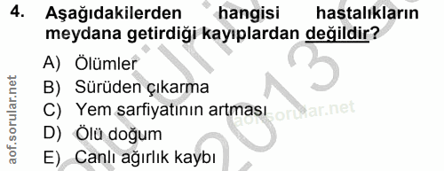 4. soru: Aşağıdakilerden hangisi hastalıkların meydana getirdiği kayıplardan değildir? A) Ölümler B) Sürüden çıkarma C) Yem sa…