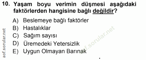 10. soru: Yaşam boyu verimin düşmesi aşağıdaki faktörlerden hangisine bağlı değildir? A) Beslemeye bağlı faktörler B) Hastalıkl…