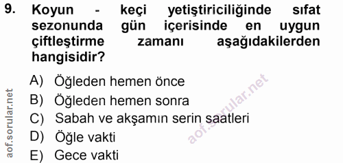 9. soru: Koyun keçi yetiştiriciliğinde sifat sezonunda gün içerisinde en uygun çiftleştirme zamanı aşağıdakilerden hangisidir?…