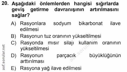 20. soru: Aşağıdaki önlemlerden hangisi sığırlarda geviş getirme davranışının artırılmasını sağlar? A) Rasyonlara sodyum bikarb…