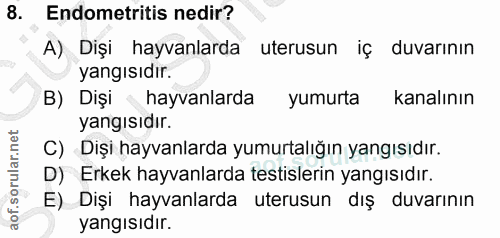 8. soru: Endometritis nedir? A) Dişi hayvanlarda utersun iç duvarının yangısıdır. B) Dişi ‹ hayvanlarda yumurta kanalının yang…