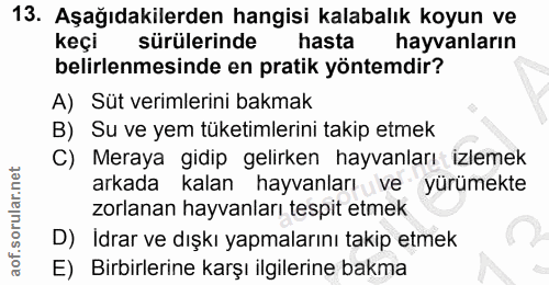 13. soru: Aşağıdakilerden hangisi kalabalık koyun ve keçi sürülerinde hasta hayvanların belirlenmesinde en pratik yöntemdir? A)…