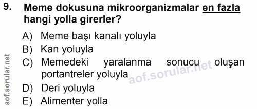 9. soru: Meme dokusuna mikroorganizmalar en fazla hangi yolla girerler? A) Meme başı kanalı yoluyla B) Kan yoluyla C) Memedeki…