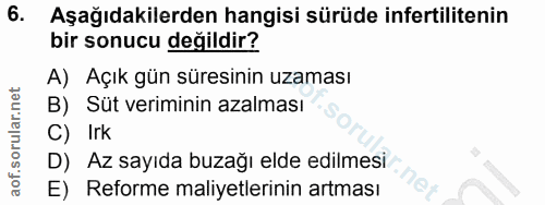 6. soru: Aşağıdakilerden hangisi sürüde infertilitenin bir sonucu değildir? A) Açık gün süresinin uzaması B) Süt veriminin aza…