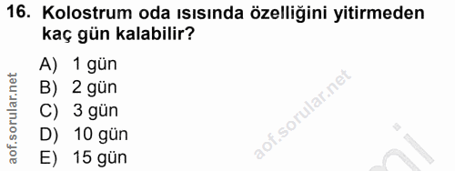 16. soru: Kolostrum oda ısısında özelliğini yitirmeden kaç gün kalabilir? A) 1 gün B) 2 gün C) 3 gün D) 10 gün E) 15 gün
