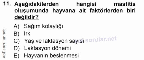 11. soru: Aşağıdakilerden hangisi mastitis oluşumunda hayvana ait faktörlerden biri değildir? A) Sağım kolaylığı B) Irk c) Yaş…