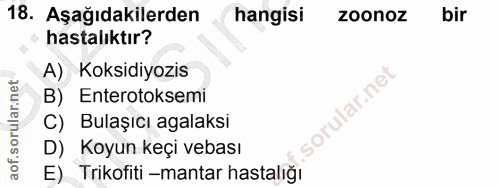 18. soru: Aşağıdakilerden hangisi zoonoz bir hastalıktır? A) Koksidiyozis B) Enterotoksemi C) Bulaşıcı agalaksi D) Koyun keçi v…