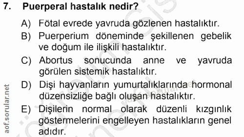 7. soru: Puerperal hastalık nedir? A) Fötal evrede yavruda gözlenen hastalıktır. B) Puerperium döneminde şekillenen gebelik ve…