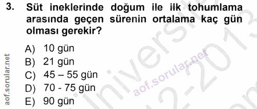 3. soru: Süt ineklerinde doğum ile ilk tohumlama arasında geçen sürenin ortalama kaç gün olması gerekir? A) 10 gün B) 21 gün a…