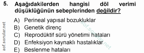 5. soru: Aşağıdakilerden hangisi döl verimi düşüklüğünün sebeplerinden değildir? A) Perineal yapısal bozukluklar B) Genetik di…