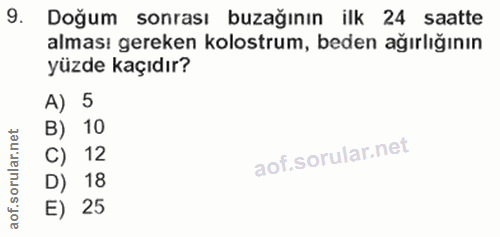 9. soru: Doğum sonrası buzağının ilk 24 saatte alması gereken kolostrum, beden ağırlığının yüzde kaçıdır? A) 5 B) 10 C) 12 D)…