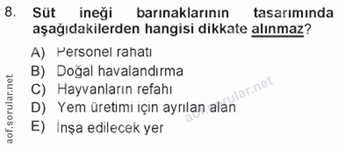 8. soru: Süt ineği barınaklarının tasarımında aşağıdakilerden hangisi dikkate alınmaz? A) Personel rahatı B) Doğal havalandırm…