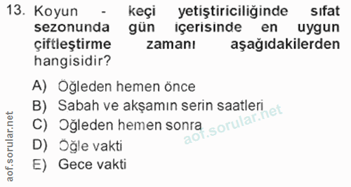 13. soru: Koyun keçi yetiştiriciliğinde sıfat sezonunda gün içerısınde en uygun çiftleştirme zamanı aşağıdakilerden hangisidir?…