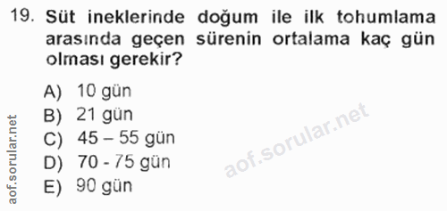 19. soru: Süt ineklerinde doğum ile ilk tohumlama arasında geçen sürenin ortalama kaç gün olması gerekir? A) 10 gün B) 21 gün C…