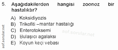 5. soru: Aşağıdakilerden hangisi zoonoz bir hastalıktır? A) Koksidiyozis B) Trikofiti -mantar hastalığı rular.net C) Enterotok…