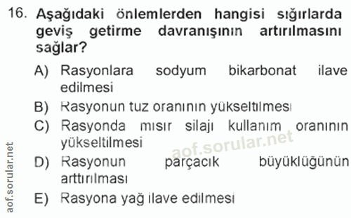 16. soru: Aşağıdaki önlemlerden hangisi sığırlarda geviş getirme davranışının artırilmasını sağlar? A) Rasyonlara sodyum bikarb…