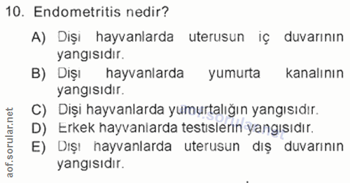 10. soru: Endometritis nedir? A) Dişi hayvanlarda utersun iç duvarının yangısıdir. B) Dişı hayvanlarda yumurta kanalının yangıs…