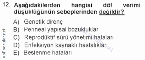 12. soru: Aşağıdakilerden hangisi dö! verimi düşüklüğünün sebeplerinden değildir? A) Genetik direnç B) Perıneal yapısal bozuklu…