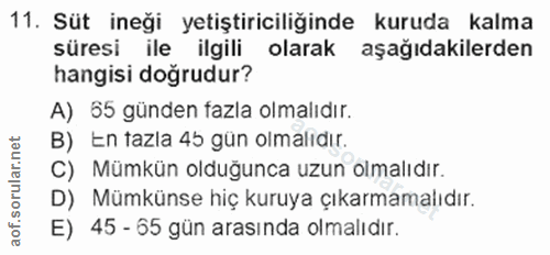 11. soru: Süt ineği yetiştiriciliğinde kuruda kalma süresi ile ilgili olarak aşağıdakilerden hangisi doğrudur? A) 55 günden faz…