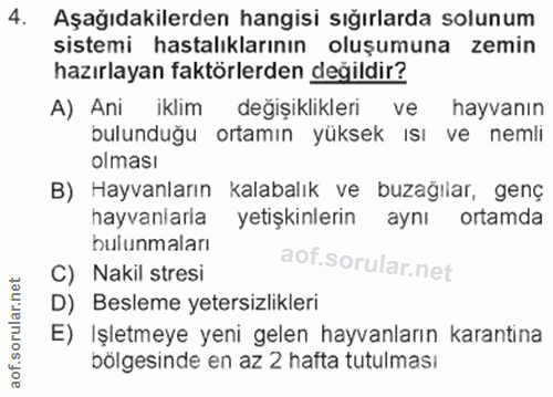 4. soru: Aşağıdakilerden hangisi sığırlarda solunum sistemi hastalıklarının oluşumuna zemin hazırlayan faktörlerden değildir?…
