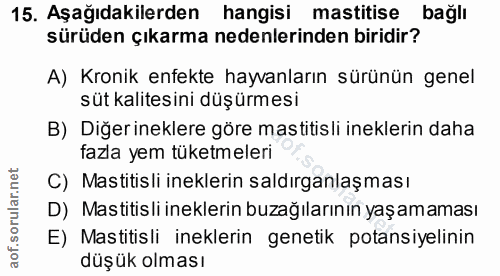15. soru: Aşağıdakilerden hangisi mastitise bağlı sürüden çıkarma nedenlerinden biridir? A) Kronik enfekte hayvanların sürünün…