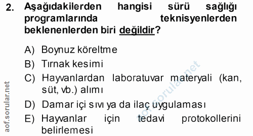 2. soru: Aşağıdakilerden hangisi sürü sağlığı programlarında teknisyenlerden beklenenlerden biri değildir? A) Boynuz köreltme…